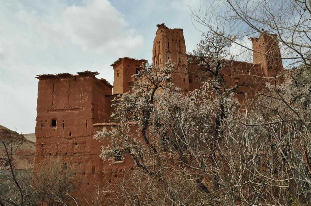 TelouetKasbah Tigmi N'Oufella住宿加早餐旅馆 外观 照片